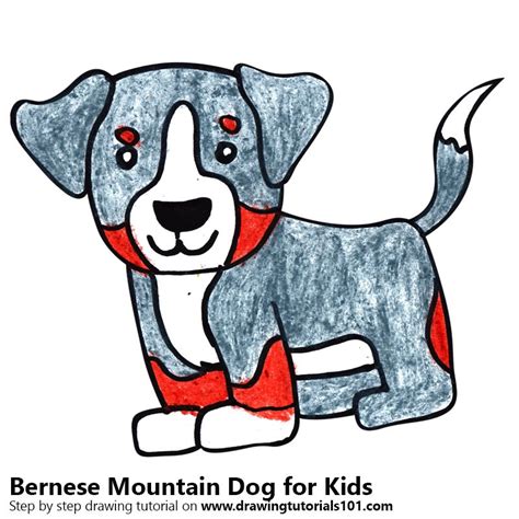 Learn How To Draw A Bernese Mountain Dog For Kids Animals For Kids