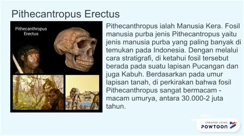 Ppt Manusia Purba Di Indonesia Powerpoint Presentation Free Download