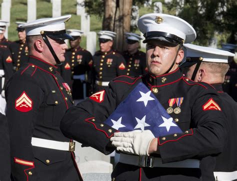 Image Result For Us Marine Guard On Trump Inaguration Day Us Marine Usmc