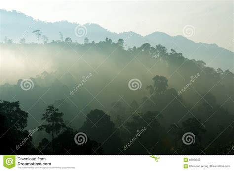 Stock Image Of Foggy Mountain In The Morning Stock Image Image Of