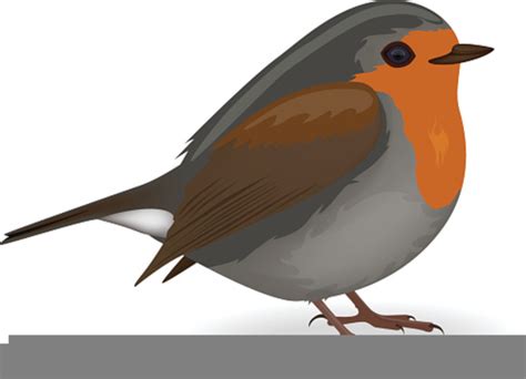 Robin Redbreast Clipart Free Images At Vector Clip Art