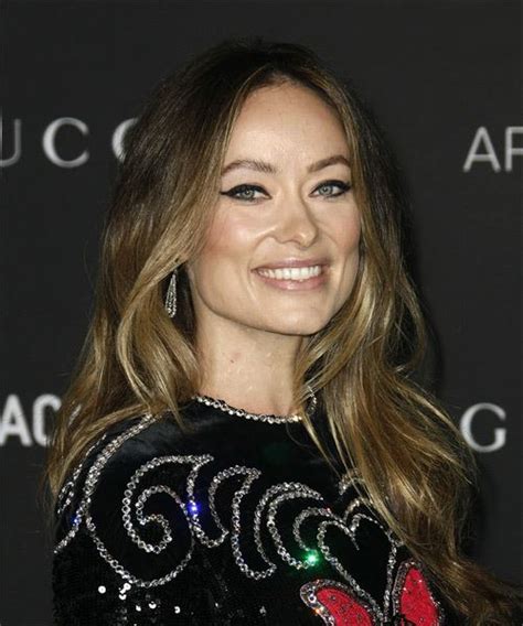 Olivia Wilde Long Straight Brunette Hairstyle With Blonde Highlights