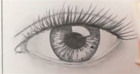 How To Draw Realistic Human Eyes 7 Steps With Pictures