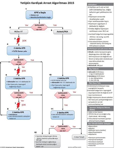 Yetişkin Kardiyak Arrest Algoritması Aha 2015 Acls Algorithm Advanced Cardiac Life Support Acls