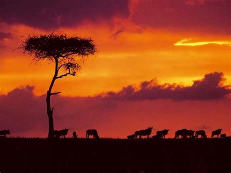Pin By Madelane Mocke On Sunrises And Sunsets Best Sunset Kenya