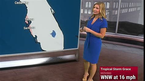 Jen Carfagno The Weather Channel Low Cut Blue Dress