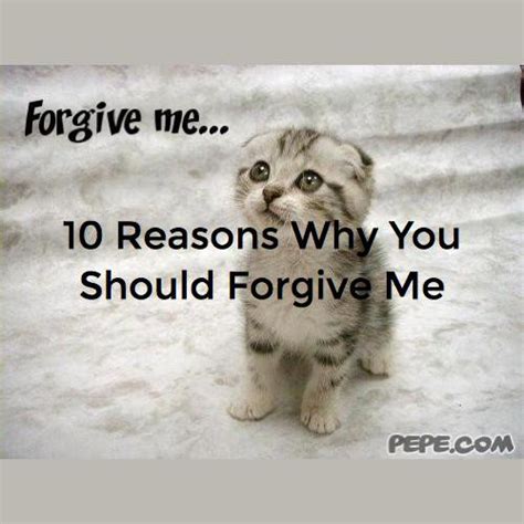 10 Reasons Why You Should Forgive Me