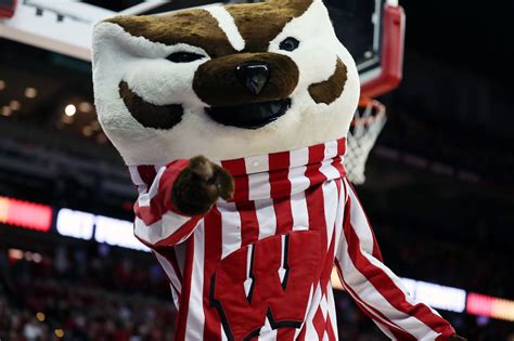 Why Your Mascot Sucks University Of Wisconsin Badgers Buckys 5th