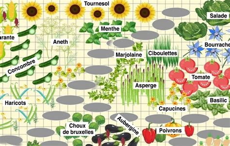 Le Guide Du Jardinage Pour Un Potager Plus Productif Samyrabbat Com