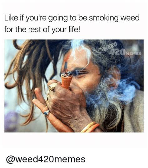 Like If You Re Going To Be Smoking Weed For The Rest Of Your Life Memes Life Meme On Sizzle