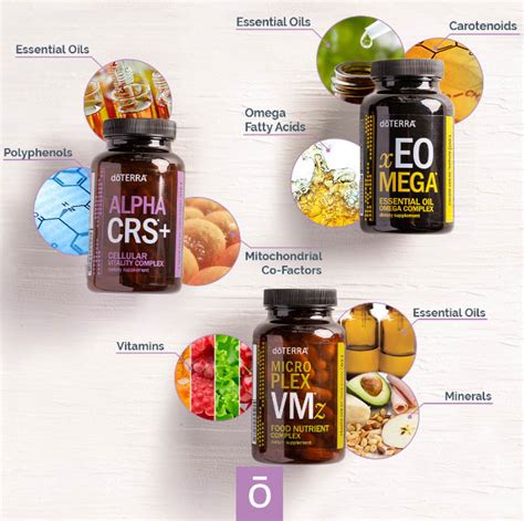 Nutrition Digestion Lifelong Vitality Essential Oils And Healthy