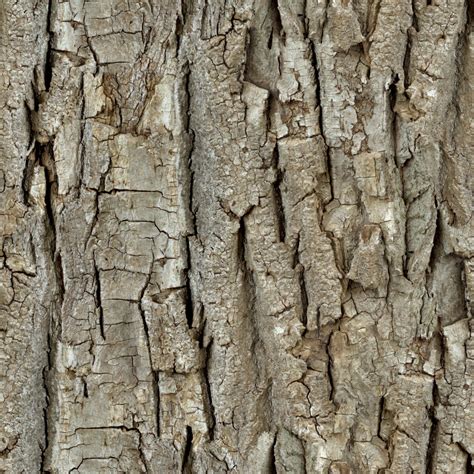 High Resolution Textures Wood 26 Tree Bark Seamless Texture 2048x2048
