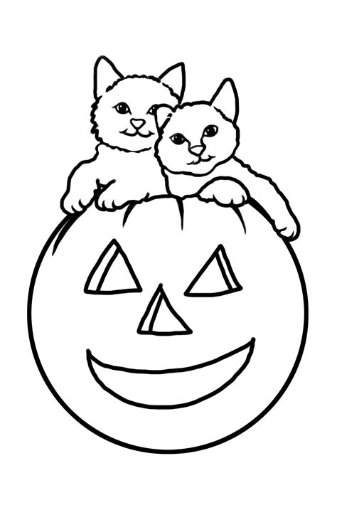 Cats And Smiling Pumpkin Coloring Book To Print And Online
