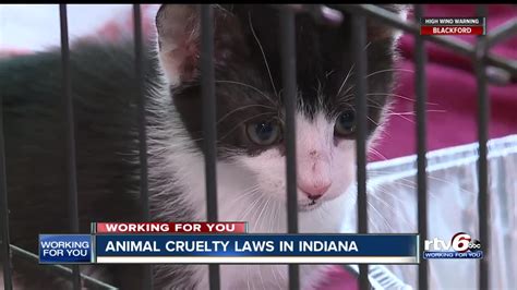What The New Federal Animal Cruelty Law Means For Indiana