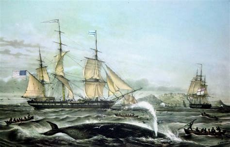 Uncas Whaling Ship By L Lebreton Cape Of Good Hope Africa