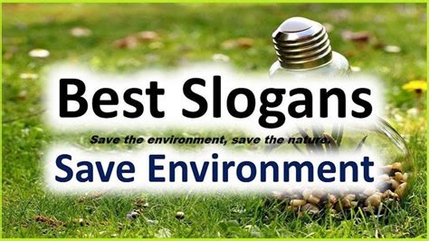 Famous Slogans On Environment For Students In 2020 With Images