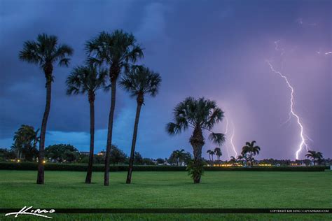 Florida Lightning Strike Palm Trees And Green Grass Hdr Photography