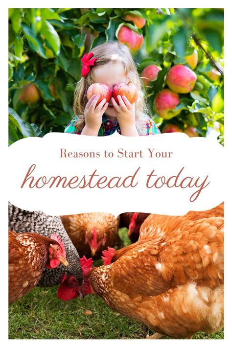 Reasons To Start Your Homestead Today Homesteading Raising Kids