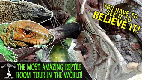 Touring The Most Amazing Reptile Room In The World Youtube