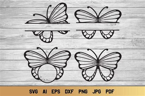Butterfly SVG | Split Monogram SVG | Name monogram SVG (722969