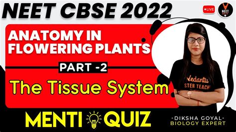 Anatomy In Flowering Plants Class 11 L2 The Tissue System Neet 2022