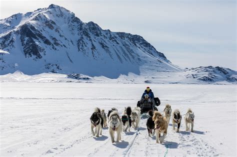 East Greenland Dog Sledding 24 1132x754 Information Blog Regarding