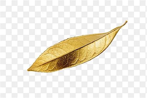 Eses Hoja Dorada Png Dorado Hoja De Oro Hoja Png Imagen Para Descarga Gratuita Pngtree