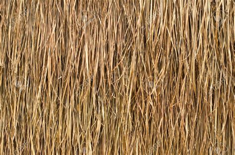 Image Result For Thatch Roof Texture Thatched Roof Modern Roofing Roof