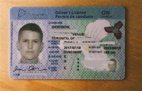 Buy Canadian Drivers License Onlinee Undetected Drivers License