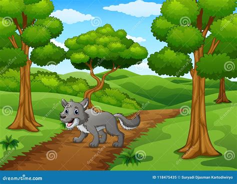 The Wolf Walking In Way Of Forest Hills Stock Vector Illustration Of