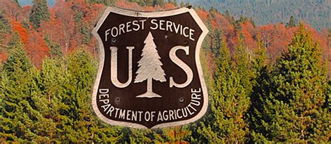Bruce Courtright The Us Forest Serviceheaded For Extinction Or