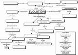 Theory Evolution Concept Map