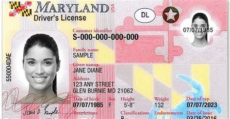 Former Mva Employee Pleads Guilty To Fraudulent Maryland Drivers License Scheme The Baynet