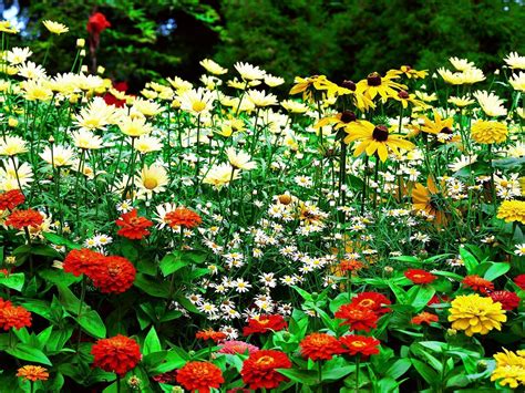 Flower Garden Images Design Flower Garden