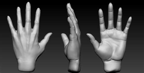Mugunth 3d Artist Daily Practice In Zbrush Hand Sculpt Zbrush