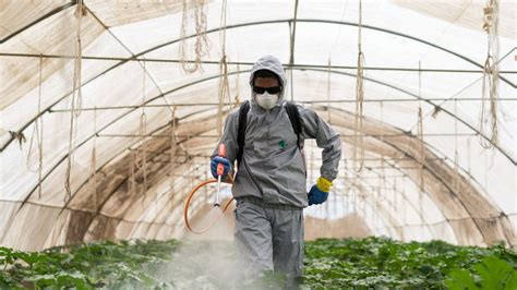 The Developing World Is Awash In Pesticides Does It Have To Be