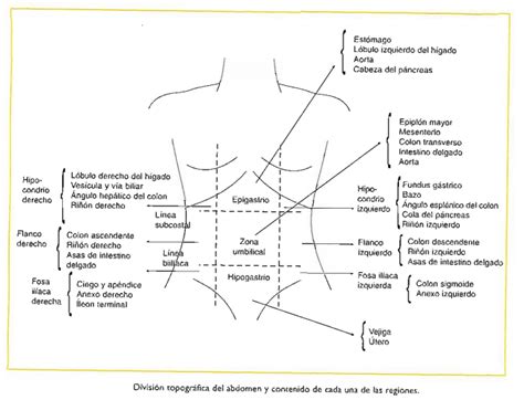 Semiolog A Quir Rgica Por Cynthia Toribio Examen F Sico Del Abdomen