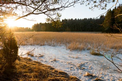 December Sun From Suvisaaristo Finland Jarkkos Flickr