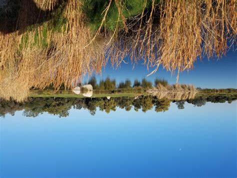 Turkey Creek Golf Club In Lincoln California Usa Golf Advisor