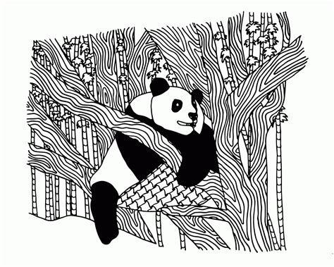 Panda Coloring Pages For Adults Coloring Home