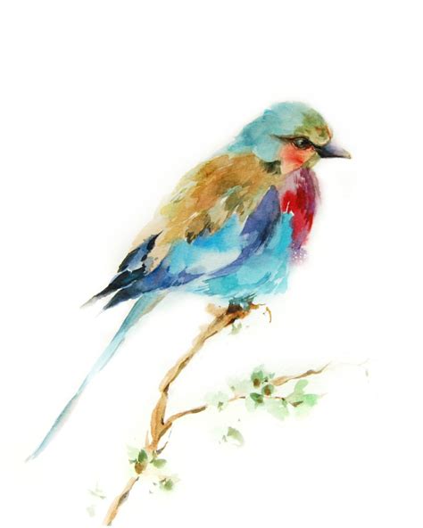 Lilac Bird Watercolor Painting Art Print Bird Art Watercolour