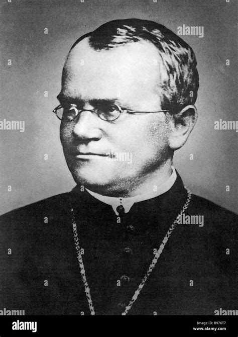 Gregor Mendel Hi Res Stock Photography And Images Alamy