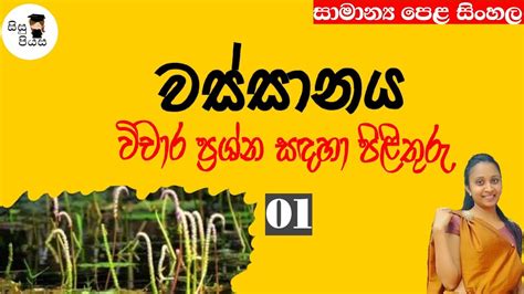 Wassanaya Vicharaya 01 වස්සානය විචාර පිළිතුරු 01 Ol Sinhala Sisupiyasa Youtube