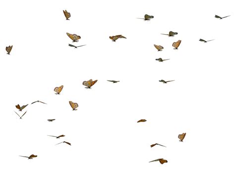 Flying Butterfly Png File Png Mart