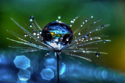 Macro Water Drop Photography By Anthony Parsons Water