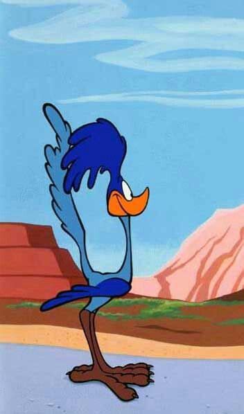 Road Runner Looney Tunes Characters Cartoon Drawings Road Runner Bird
