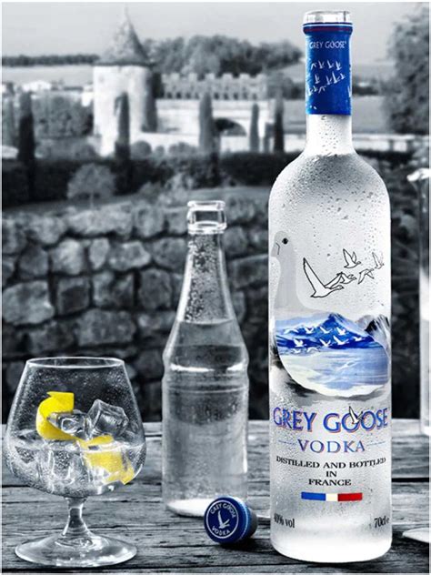 grey goose vodka 70 cl 40 rasch vin and spiritus
