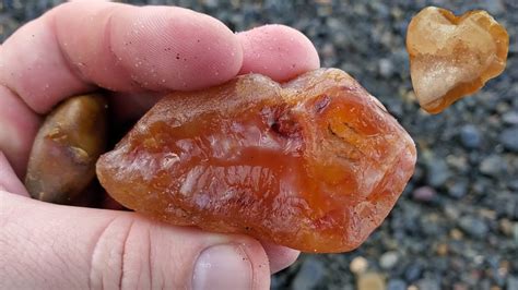 Huge Carnelian And Chalcedony Agates With The Agate Motherlode Oregon