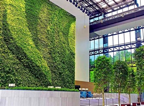 Green Work Environments Green Roofs Australasia