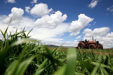 Sector Agropecuario Tiene Un Gran Potencial En Región La Libertad
